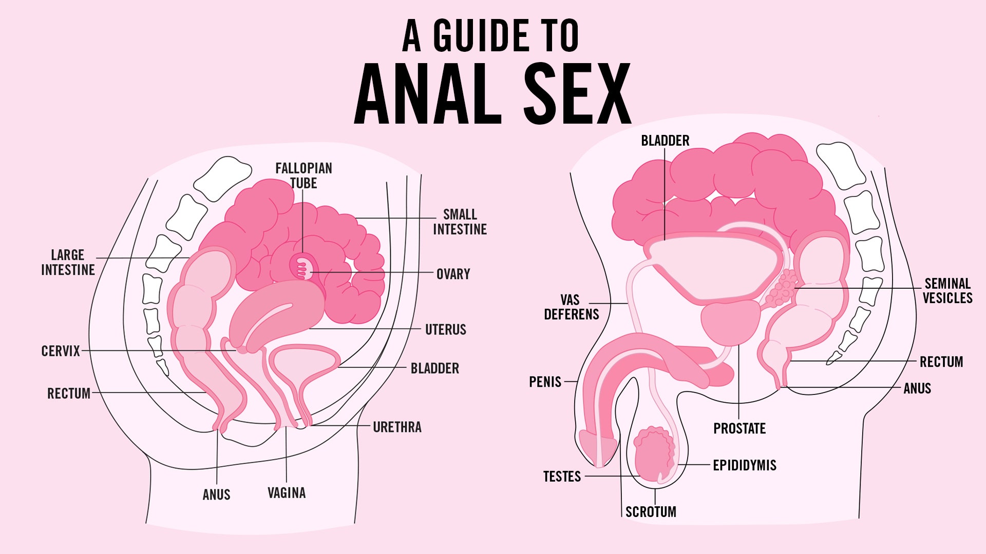 alin matei recommends 101 anal pic